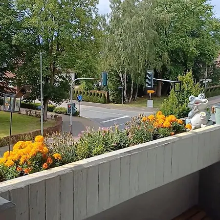 Gezellig In Apartamento